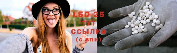 spice Абаза
