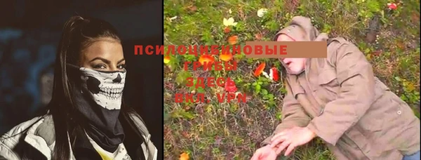 spice Абаза