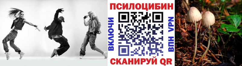 купить закладку  Россошь  Галлюциногенные грибы мицелий 